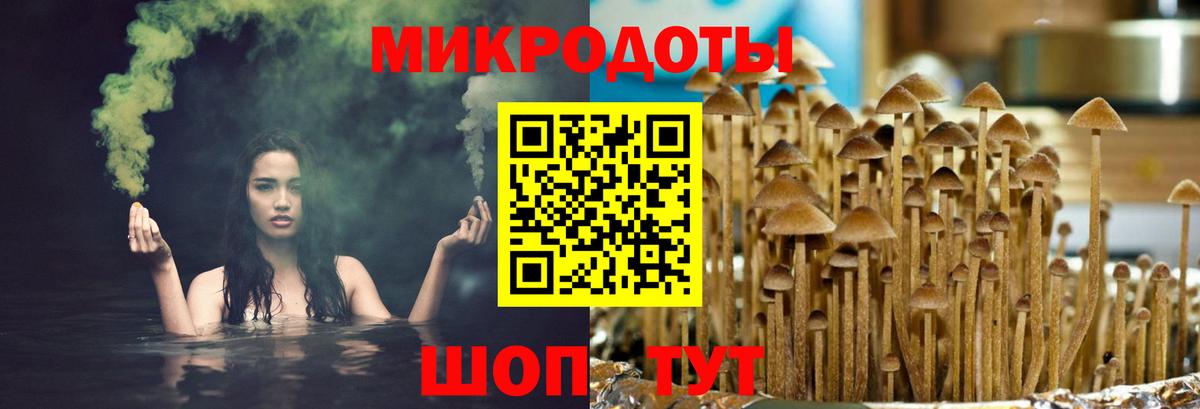 Йошкар-Ола  Галлюциногенные грибы Psilocybine cubensis  Вход с VPN 