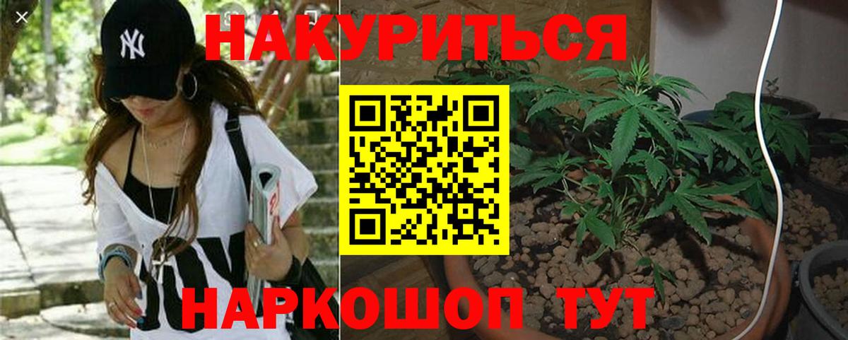 Шишки марихуана план  Шишки марихуана White Widow  Вход с VPN  Йошкар-Ола  Бошки Шишки Ganja  Канабис план 